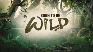 Born to Be Wild on History TV18 HD Hindi - past program