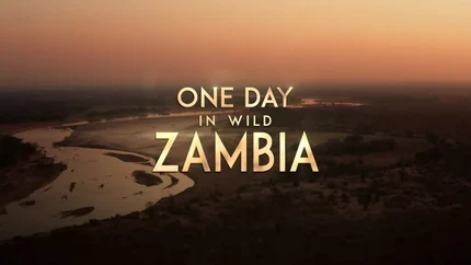 One Day In Wild Zambia on Animal Planet English