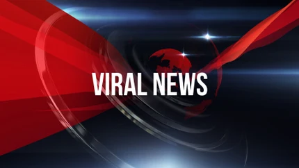 Viral News on VTV Gujarati