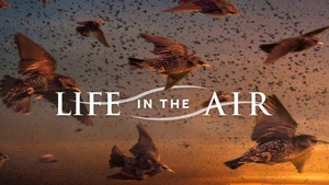 Life in the Air on Sony BBC Earth SD - past program