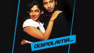 Odipolama on KTV HD - past program