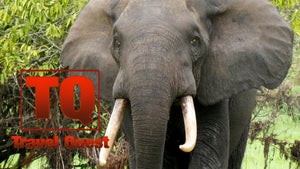 Travel Quest on DocuBay - past program