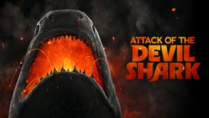 Attack of the Devil Shark on Animal Planet Telugu - past program