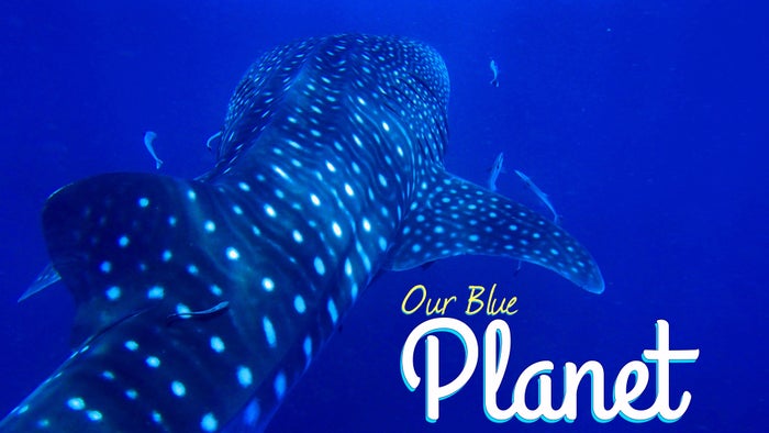 Our Blue Planet on JioTV