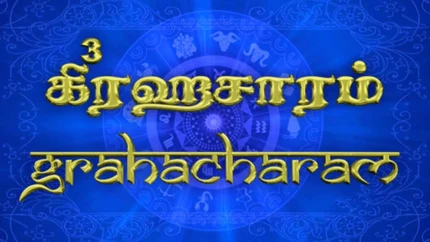 Grahacharam on Sri Sankara
