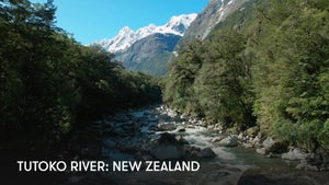 Tutoko River: New Zealand on Stingray Naturescape - past program