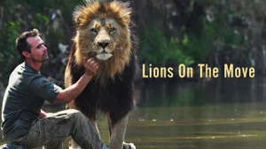 Lions On The Move on Animal Planet Hindi