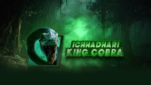 Ichhadhari King Cobra on Zee Action - live program