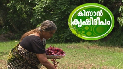 Kissan Krishideepam on Asianet News - past program