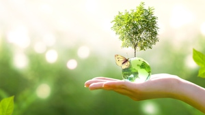 Japan's Wild Side on Animal Planet HD English - past program