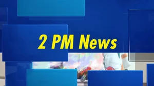 2 PM News on Manorama News - past program