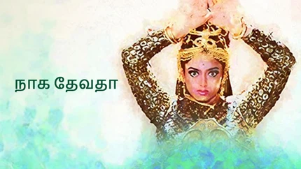 Nagadevathe on Raj Digital Plus - past program