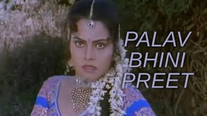 Palav Bhini Preet on Colors Gujarati Cinema - past program