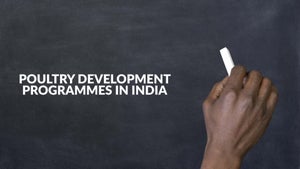 Poultry Development Programmes in India on DD Gyandarshan - past program