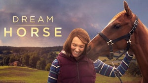 Dream Horse on Animal Planet HD Hindi - past program