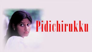Pidichirukku on Kalaignar TV - past program