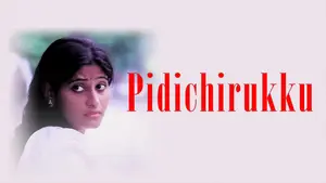 Pidichirukku on Kalaignar TV - past program