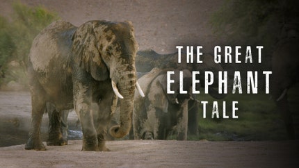 The Great Elephant Tale on Animal Planet HD Tamil