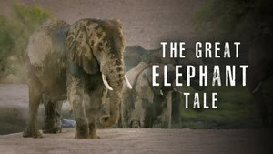 The Great Elephant Tale on Animal Planet Hindi - past program