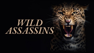 Wild Assassins on Animal Planet HD Hindi - past program