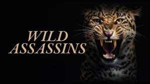 Wild Assassins on Animal Planet HD Hindi - past program