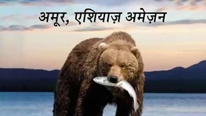 Amur, Asia's Amazon on Animal Planet HD Hindi - past program