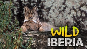 Wild Iberia on INWILD - past program