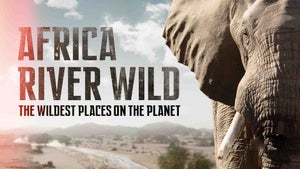 Wild Africa: Rivers of Life on Animal Planet English - past program