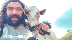 Travel With a Goat Episode 3 on INTRAVEL - live program