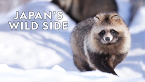 Japan's Wild Side on Animal Planet HD Hindi - past program