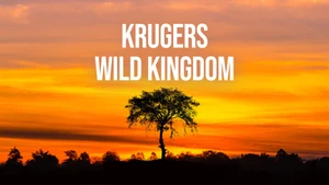 Krugers Wild Kingdom on Animal Planet HD English - past program
