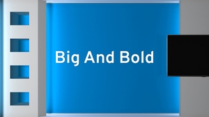 Big And Bold on Times Now Navbharat - past program