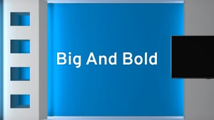 Big And Bold on Times Now Navbharat - past program