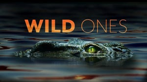 Wild Ones Episode 7 on INWILD - past program