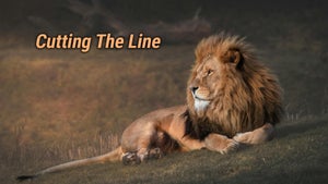 Cutting The Line on Animal Planet Hindi - future program