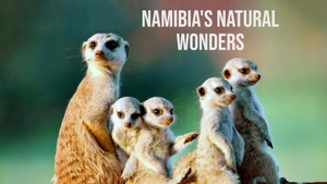 Namibia's Natural Wonders on Animal Planet HD Hindi - past program