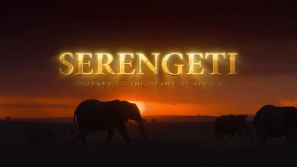 Serengeti: Journey To The Heart Of Africa on Animal Planet English