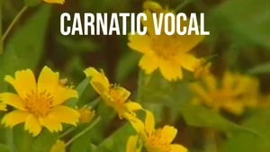 Carnatic Vocal on DD bharati