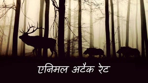 Animal Attack Rate on Animal Planet HD Hindi - past program