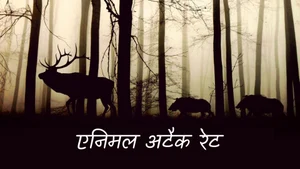 Animal Attack Rate on Animal Planet HD Hindi - past program