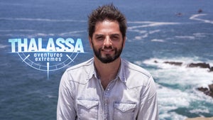 TV5 Monde on TV5 Monde - past program