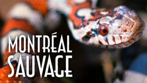 TV5 Monde on TV5 Monde - past program