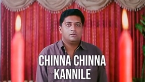 Chinna Chinna Kannile on Raj Digital Plus - past program