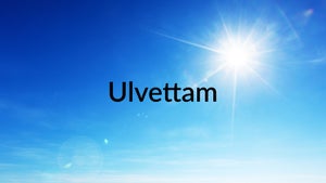 Ulvettam on Goodness - future program