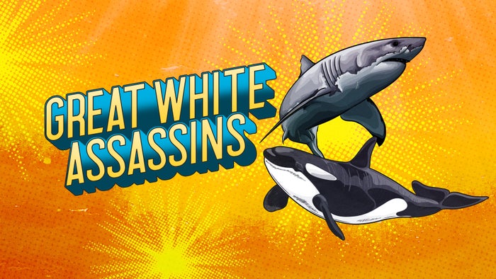 Great White Assassins on JioTV