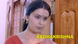 Radhakrishna on Colors Tamil HD - past program