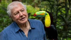 Life in Colour with David Attenborough on Animal Planet HD Hindi - past program