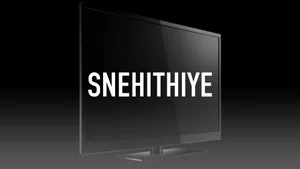 Snehithiye on Kalaignar TV - past program
