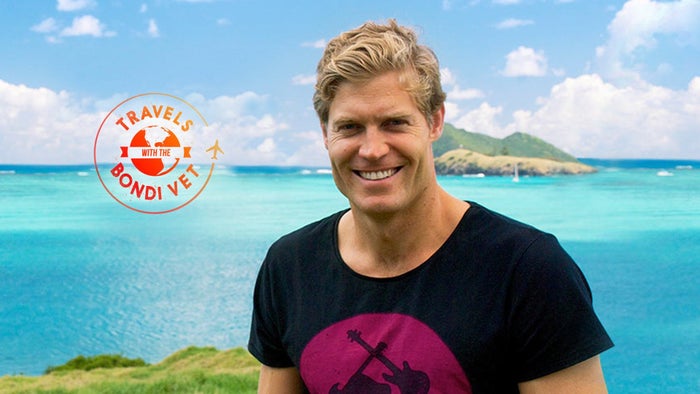 Travels with the Bondi Vet Episode No.1 on JioTV