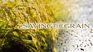 Saving the Grain on NHK World Japan - past program